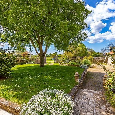 Apartment Stelia Mednjan Zewnętrze zdjęcie